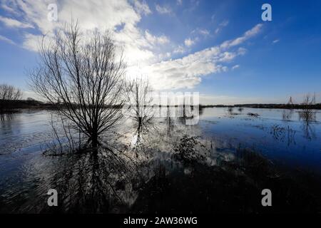 Wesel, Nordrhein-Westfalen, Niederrhein, Deutschland, Lippe, Überschwemmt in der renaturierten Flutmulde an der Lippe in den Rhein. Wesel, Nein Stockfoto