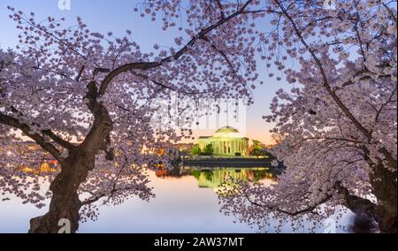 Washington, DC am Tidal Basin und Jefferson Memorial im Frühjahr. Stockfoto