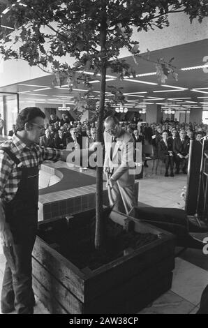 Prinz Bernhard eröffnet neuen Sitz in Utrechter AMEV; Prinz Bernhard Baum im Saal des Büros Datum: 16. September 1974 Standort: Utrechter Schlüsselwörter: Löcher, Fürsten Personenname: AMEV, Bernhard, Fürst Stockfoto