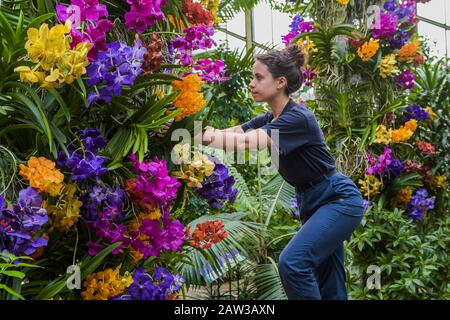 London, Großbritannien. Februar 2020. Kew Gardens' erstes Orchideenfestival, das sich mit dem Thema "das Land Indonesiens" im Princess of Wales Conservatory beschäftigt. Credit: Guy Bell/Alamy Live News Stockfoto