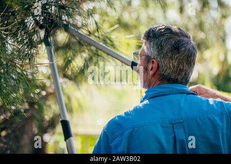 Der Obermann, der im Garten die Baumzweige ausschneidet. Stockfoto