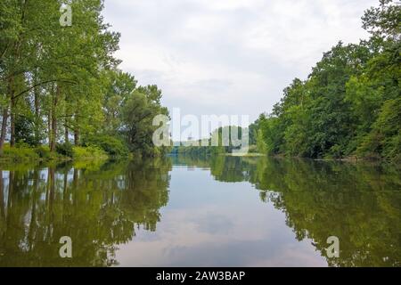 Der Berghaeuser Altrhein, eine Abranch des Rheins, Blick in Richtung Atomkraftwerk bei Philippsburg Stockfoto