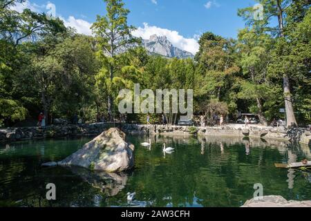 Jutta, Krim - 09/04/2019: Ein kleiner künstlicher See mit weißen Schwänen im Vorontsov-Park. Stockfoto