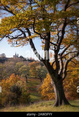 Herbstliche Szene, Greenwich Park, London. Stockfoto