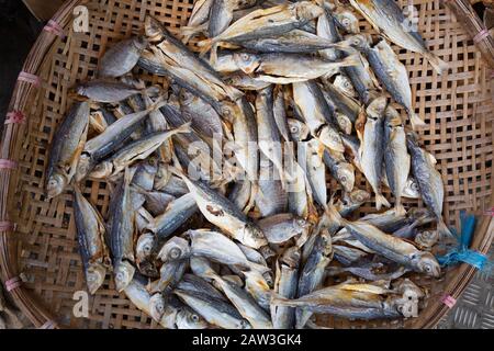 Tai O Dorf, Lantau Hongkong - Fisch zum Verkauf auf dem Lebensmittelmarkt Hongkong Asien Stockfoto