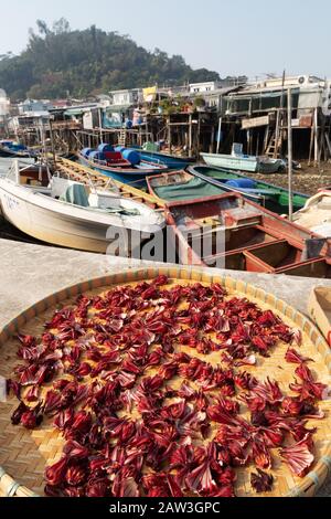 Blumenblüten, die in der Sonne trocknen, Boote und Stelzenhäuser, Tai O Fischerdorf, Lantau-Insel Hongkong Asien Stockfoto