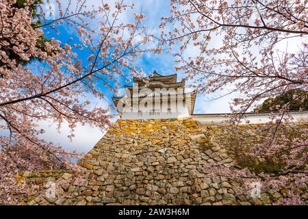 Akashi, Hyogo, Japan Burgturm und Kirschblüten im Frühjahr. Stockfoto