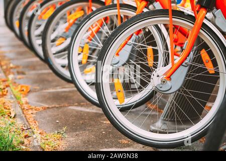 Reihe Farbenfroher Fahrräder Zum Mieten Auf Dem Städtischen Fahrradparkplatz In Der Straße. Stockfoto