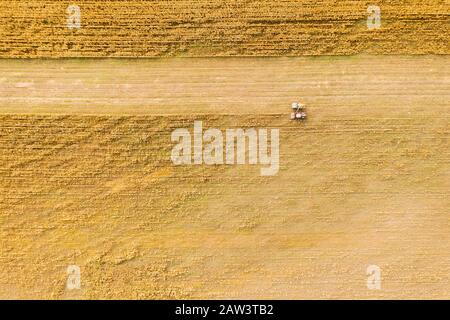 Luftaufnahme der ländlichen Landschaft. Mähdrescher- und Lkw-arbeiten zusammen im Feld, sammelt Samen. Ernte von Weizen im Herbst. Landwirtschaftliche Mac Stockfoto
