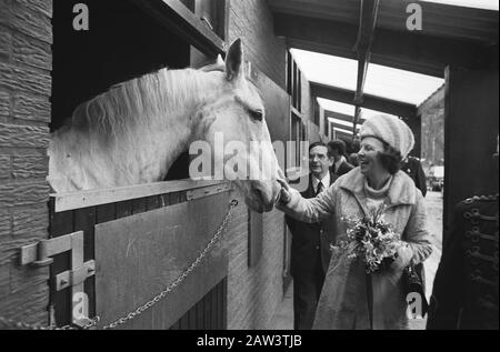 Prinzessin Beatrix eröffnete das neue Reitzentrum im Military Equestrian Center Marcroix in der Bernhard-Kaserne in Amersfoort Princess, Reitschulen, Häfen, Beatrix, Princess Date: 20. März 1979 Standort: Amersfoort Keywords: Ställe, Öffnungen, Prinzessinnen Personenname: Beatrix, Prinzessin Stockfoto