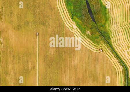 Luftaufnahme der ländlichen Landschaft. Mähdrescher arbeiten In Feld, sammelt Samen. Ernte von Weizen im Spätsommer. Landwirtschaftliche Maschine Collectin Stockfoto