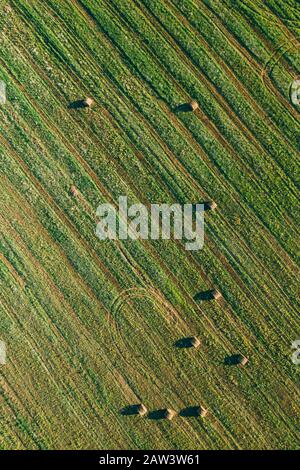 Luftaufnahme Sommer Feld Landschaft mit Mit trockenem Heu Ballen während der Ernte. Wanderwege Linien auf Ackerland. Ansicht von oben Kulturlandschaft. Drone Ansicht. B Stockfoto