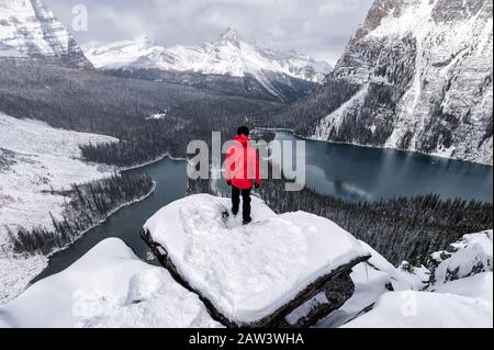 Reisende, die auf dem Felsen über dem Opabin-Plateau mit dem See O'hara im Yoho-Nationalpark, Kanada, stehen Stockfoto