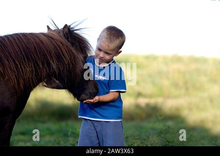 Junge mit Falabella Pony, Normandie Stockfoto