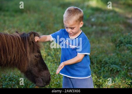 Junge mit Falabella Pony, Normandie Stockfoto