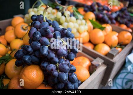 Weiße und blaue Trauben auf dem Hintergrund von Tangerinen und Orangen auf einer Theke am Borough Market. Inneneinrichtung eines Gemüse-Ladens Stockfoto