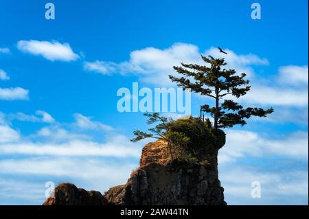 Gesteine zwischen den Gezeiten in der Siletz Bay in Lincoln City an der Küste von Oregon Stockfoto