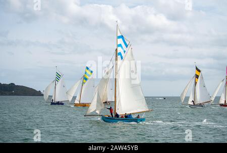 Bunte Gruppe von Falmouth Arbeitsbooten in voller Höhe segeln in der Falmouth-Flussmünde in einer brishen Brise, Sonne und Wolke aus, einzigartige topsegelfarben fliegen Stockfoto