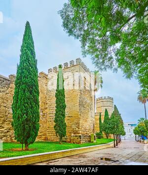 Die schattige Gasse mit saftigem Rasen und hohen Zypressenbäumen verläuft entlang der mittelalterlichen Stadtmauern der Festung Alcazar, Jerez, Spanien Stockfoto