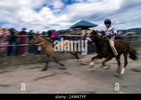 Junge Jockeys Rennen auf der HM Hasan, Blang Bebangka, Central Aceh District, Provinz Aceh, Indonesien, Sonntag, 1. September 2019. Gayo traditionelle Pferderennen sind seit der holländischen Kolonialzeit, Gayo Traditional Horse Race wird zweimal jährlich in Central Aceh Regency abgehalten, um dem Takengon Stadtjubiläum zu gedenken und dem Jahrestag der Republik Indonesien zu gedenken. Die kleinen Jockeys beim Reiten von Pferden ohne Sättel, und diese Pferde sind das Ergebnis der Kreuzung australischer Pferde und kleiner Gayo-Pferde, jetzt haben die Gayo-Pferde begonnen, hoch zu steigen. Stockfoto