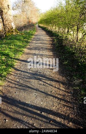 Sonne getuckt Fußweg zwischen Bäumen Stockfoto