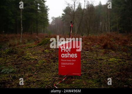 Ein Warnschild für heiße Asche im New Forest Hampshire England aufgrund der Verbrennen von Bäumen und Ästen durch die Waldbewirtschaftung. Stockfoto