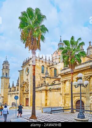 Jerez, SPANIEN - 20. SEPTEMBER 2019: Die geschnitzte Seitenwand der gotischen Kathedrale mit hohen Palmen und alter Streetlight im Vordergrund, auf Septemb Stockfoto