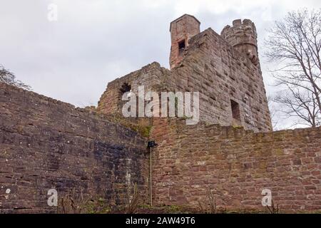 Festung mit dem Namen Bergfeste Dilsberg - Ruinen auf einem Hügel mit Blick auf das Neckartal Stockfoto