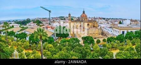 Blick auf die Altstadt von Jerez mit viel Grün im Park Plaza Monti, Kacheldächern historischer Weingüter und der hervorragenden gotischen Kathedrale Heiliger Retter, Spa Stockfoto