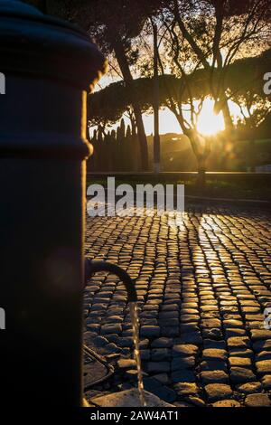 Promenade in Celio Hügel. Brunnen und Pinien. Rom, Italien Stockfoto