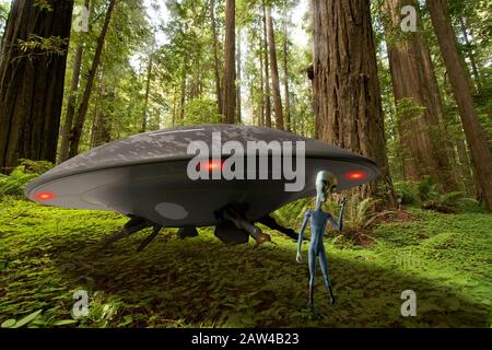 UFO-Waldlandung mit grauem Alien in blauer Uniform beim Versuch, "nach Hause zu telefonieren". Stockfoto