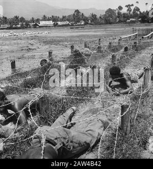 Ausbildung des Infanteriedepots KNIL Rantepao (Sulawesi) Rantepao, eine Stadt in der Mitte der Celebes [Hauptstadt der Toradja-Länder] hat nur den Namen durch eine Ausbildung erhalten, die sich dort befindet. Besonders unbewaffnete Selbstverteidigung durch die Rekruten achtet man sehr. Auch im Leben der Rekruten spielt der Hindernislauf eine große Rolle. Eine ihrer Zahlen, die tief über dem Boden krabbeln, lehrt Datum: 4. November 1948 Ort: Indonesien Niederländische Ostindien Stockfoto