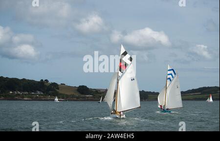 Traditionelle Falmouth-Arbeitsboote im Vollsegel in den Breezes der Fal-Flussmündungsrennen gegeneinander. Jedes Boot hat einzigartige Segelfarben Stockfoto