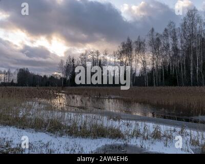 Winterlandschaft mit Fluss, trockenem Schilf im Vordergrund, verwischte Bäume im Hintergrund Stockfoto