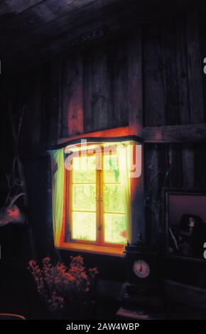 Vintage-Stillleben mit sonnenbeleuchtetem Fenster und Blumen. Stockfoto
