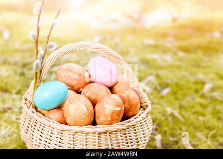 Braune Ostereier därteten natürlich mit Zwiebelhäuten im Korbkorb im Freien auf wunderschönem grünem Frühlings-Moos an sonnigen Tagen. Oster-Feiertag-Karte Backgroun Stockfoto