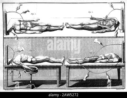 , Großbritannien : menschliches Experiment mit Elektrizität , Platte 3 , Illustration aus Buch "Essai theorique et experimental sur le galvanisme" by Stockfoto