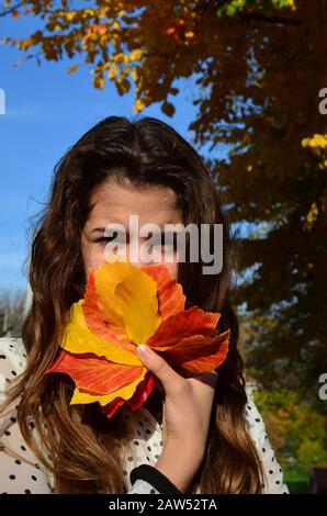 Teenager-Brunette-Mädchen versteckt sich hinter einem Blumenstrauß roter und gelber Herbstblätter Stockfoto