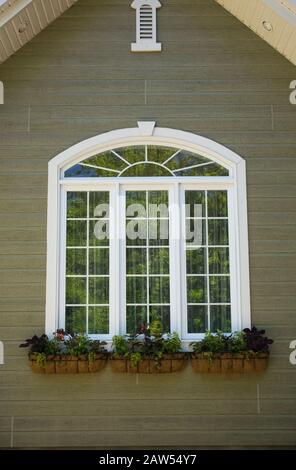 Bogenfenster mit Blumenkörben auf der Gesichtsmaske eines grün gefärbten Wohnhauses im Frühjahr. Stockfoto