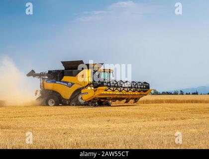 Canterbury, Neuseeland, 2. Februar 2020: Ein New Holland-Mähdrescher, der im Sommer in einem Gerstenfeld arbeitet Stockfoto