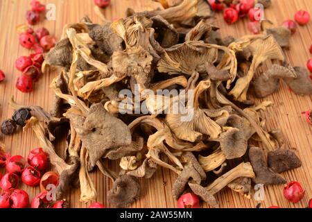 Getrocknete Trumpet Chanterelle oder Cantharellus tubaeformis bereit für die Küche, zusammen mit rotem und schwarzem Pfeffer auf Holzhackbrett, Nahwetteifer Stockfoto