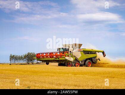 Canterbury, Neuseeland - 2. Februar 2020: Ein großer Mähdrescher, der im Sommer auf einem Gerstenfeld arbeitet Stockfoto