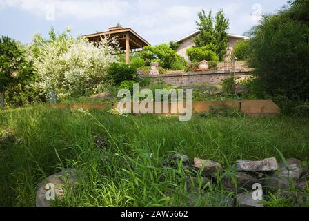 Erhöhte Grenze mit verschiedenen mehrjährigen Pflanzen, Sträuchern und weiß blühenden Salix Integra-Hakuro Nishiki - Weidenschauch im Hintergrund im Garten im Hinterhof Stockfoto