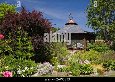 Englischer Stil Grenze mit weißen Paeonia ‘Festiva Maxima’ - Pfingstrose, mauve Dianthus 'Rainbow loveliness' - Nelke, Hosta Pflanze, Burgund Berberis Stockfoto