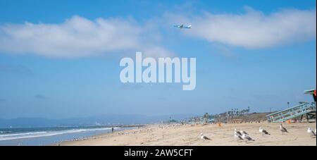 Eine Möwe am Strand am Meer Stockfoto