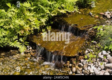 Nahaufnahme eines kleinen Baches mit kaskadierenden Wasserfällen im Hinterhof Rustikaler Garten im späten Frühjahr Stockfoto