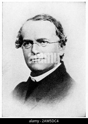 1880 Ca, ÖSTERREICH: Der slesische Zoologe, Biologe und Arzt, der katholische Agostinische Friar GREGOR JOHANN MENDEL (* um 1822-4) . Mendel gewann POS Stockfoto