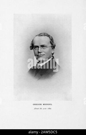 Der slesische Zoologe, Biologe und Arzt, der katholische Agostinische Friar GREGOR JOHANN MENDEL (* um 182-4) . Foto aus Biograph Stockfoto