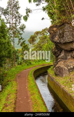 Madeira, Wandern entlang des Bewässerungskanals (Levada) Stockfoto