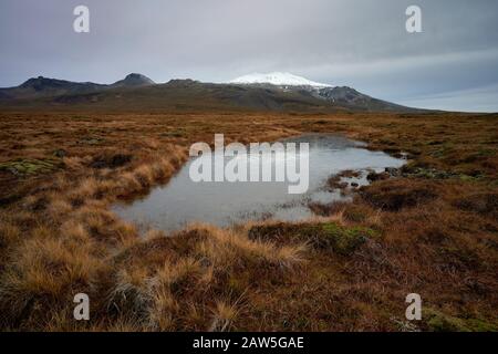 Kleiner See mit ruhigem Wasser auf dem Feld mit trockenem Glas in der Nähe verschneiten Bergrückens am übergiebelten Tag in der Natur Stockfoto